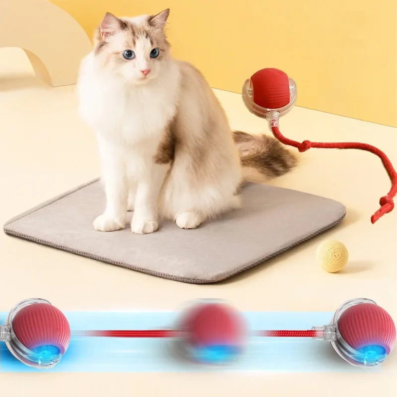 Auto Electric Rolling Cat Ball