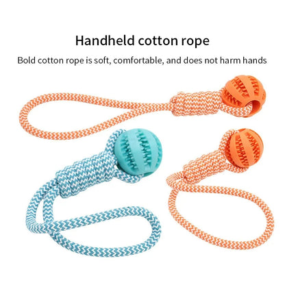 Interactive Treat Ball Toy