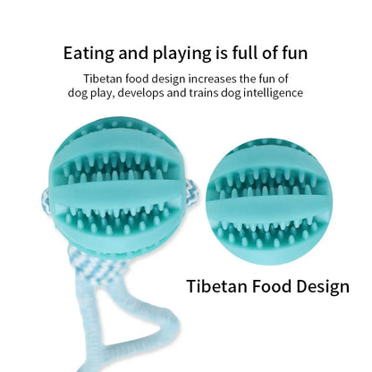 Interactive Treat Ball Toy