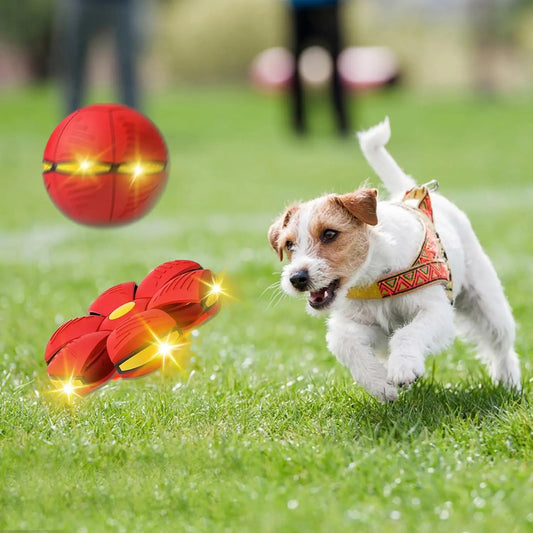 Flying Saucer Ball Dog Toy