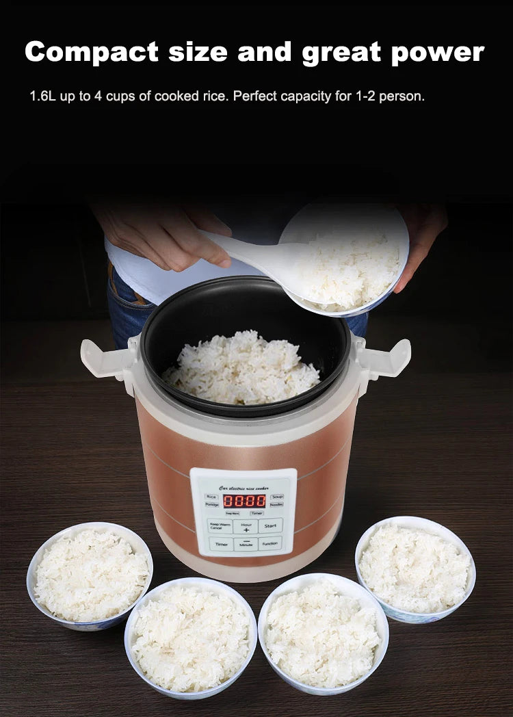 Mini Rice Cooker 12-24V 220V Multifunction Electric Steamer home Appliance Portable for Camping RV Camper Gold Russian Menu