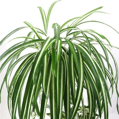 65cm Artificial Plants Wall Hanging Chlorophytum Potted Green Plants PVC Fake Plants Simulation Flower Living Room Decor