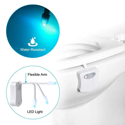 Smart PIR Toilet Nightlight LED