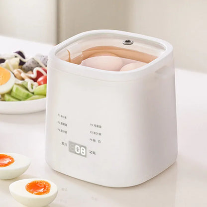 Egg Boilers Hot Spring Eggs Small Household Multifunctional Egg Boiling Artifact Hot Spring Egg Machine Kitchen Household