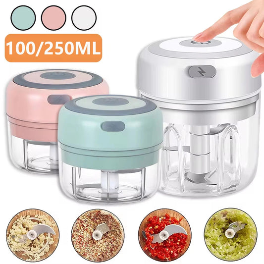Electric Mini Chopper Kitchen Food Garlic Masher Crusher 100/250ML Portable Meat Grinder Vegetable Chopper For Kitchen Gadgets