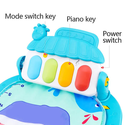 Baby Music Play Gym Activity