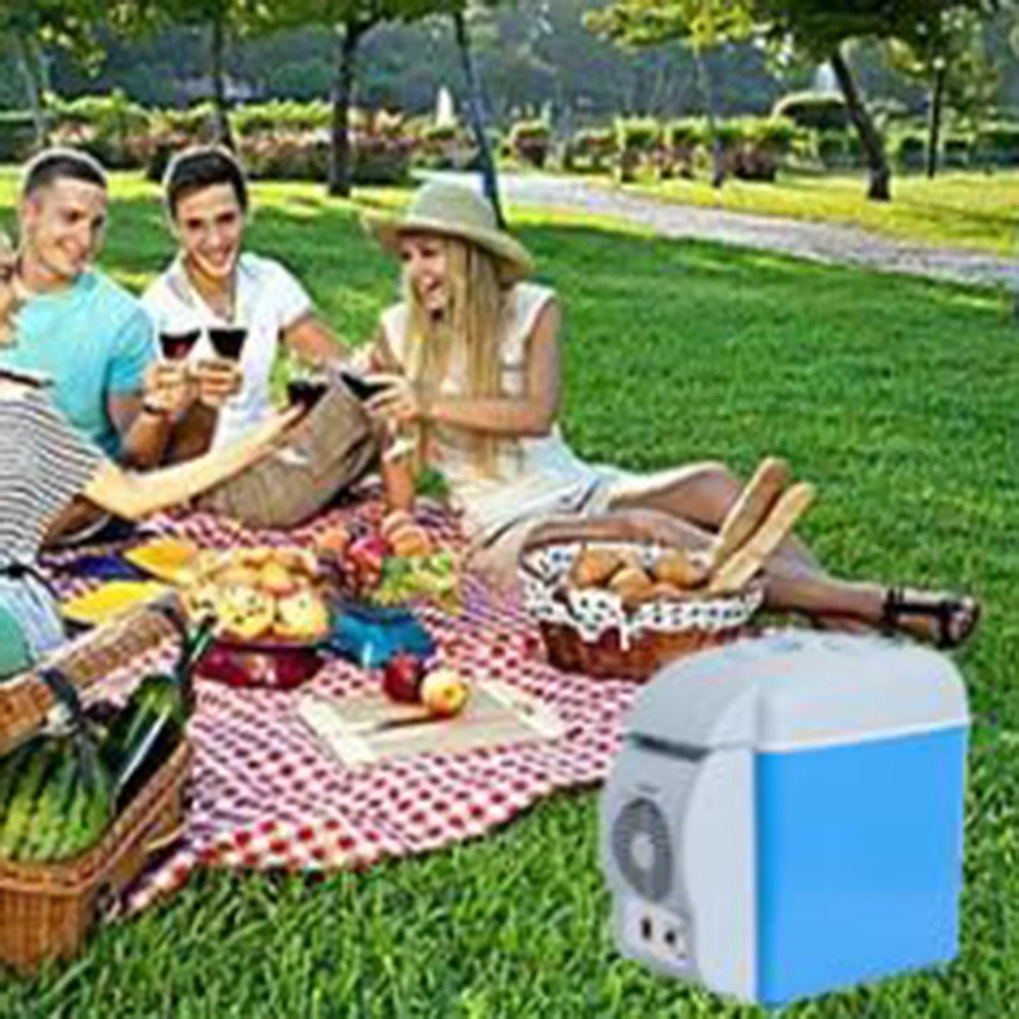 12V Small Fridge for Car Cooler Mini Fridge Electric Car Cooler Warmer Portable Freezer for Pickup Truck Boat Beverage