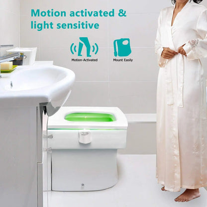 Smart PIR Toilet Nightlight LED