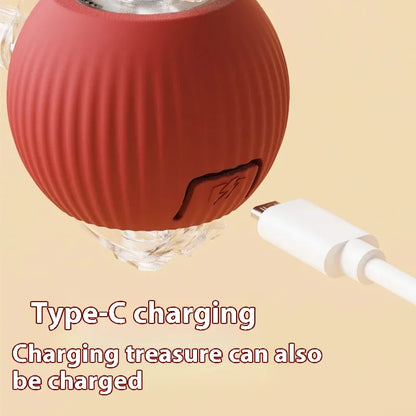 Auto Electric Rolling Cat Ball