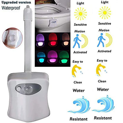 Smart PIR Toilet Nightlight LED